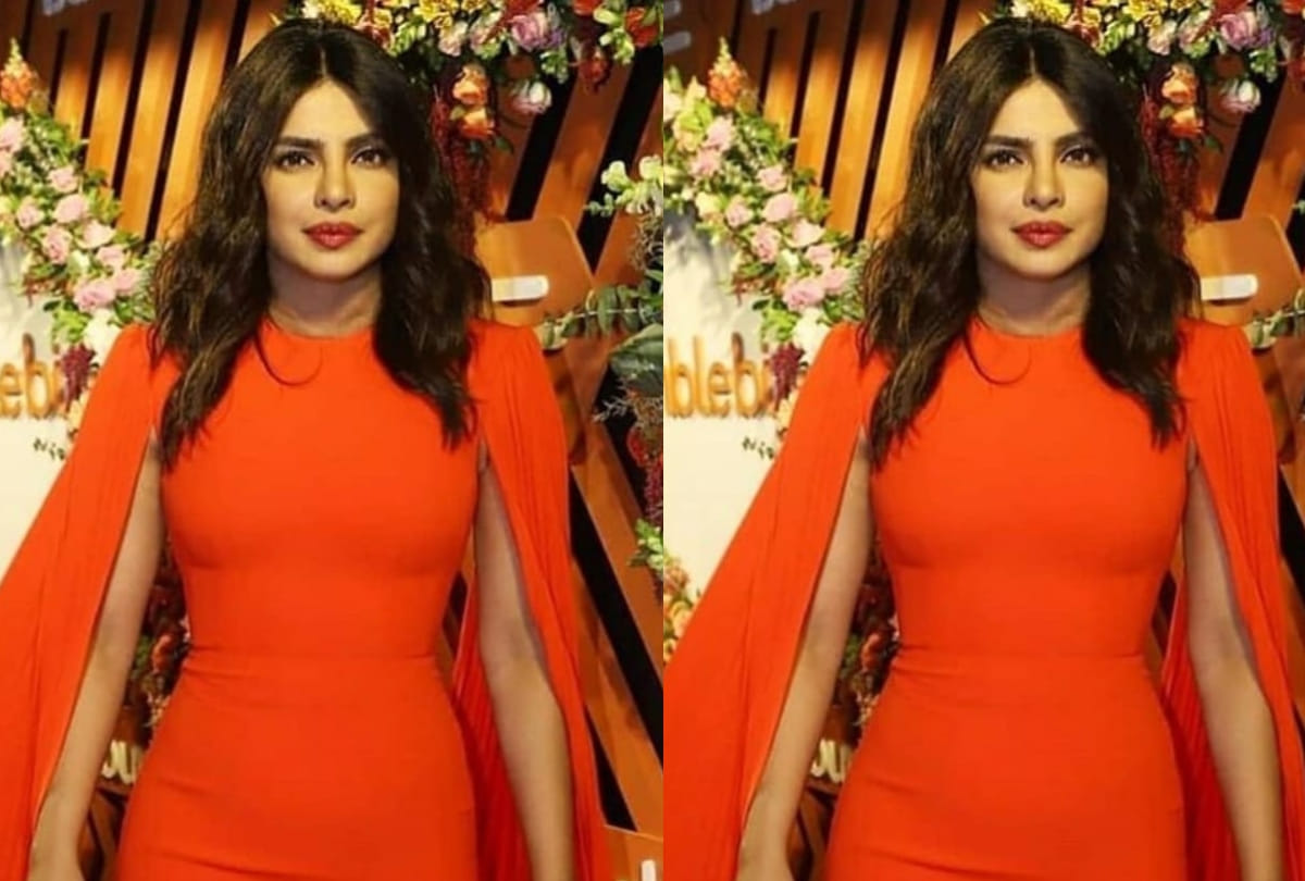 priyanka chopra success know about her net worth and car collection