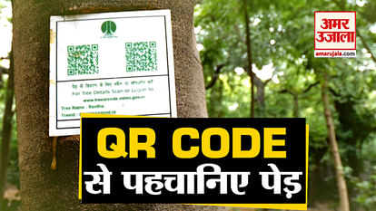 QR CODE, located on trees in Lodhi Garden of Delhi will get complete information