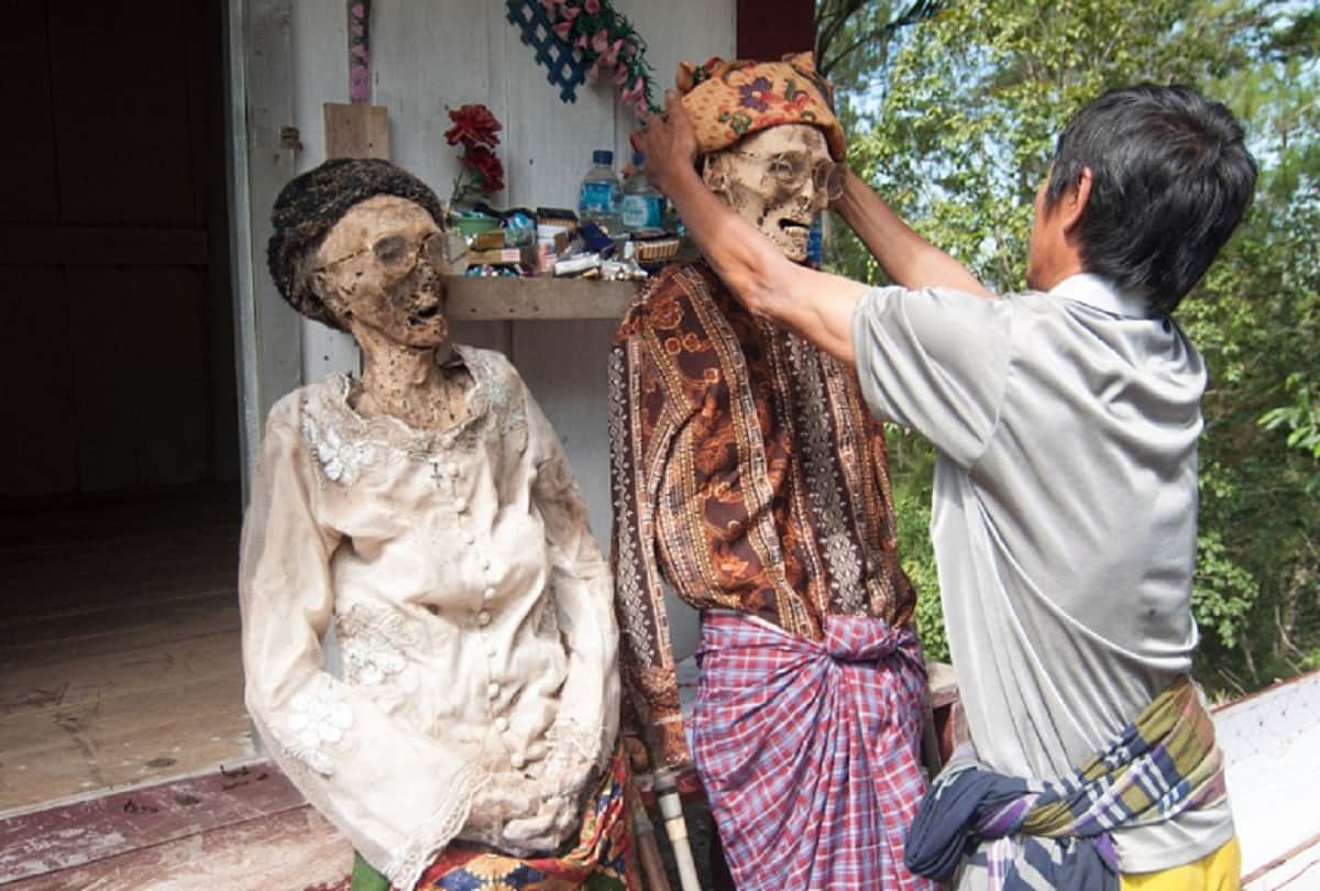 why are corpses taken out of tombs in Indonesia every 3 years manene festival