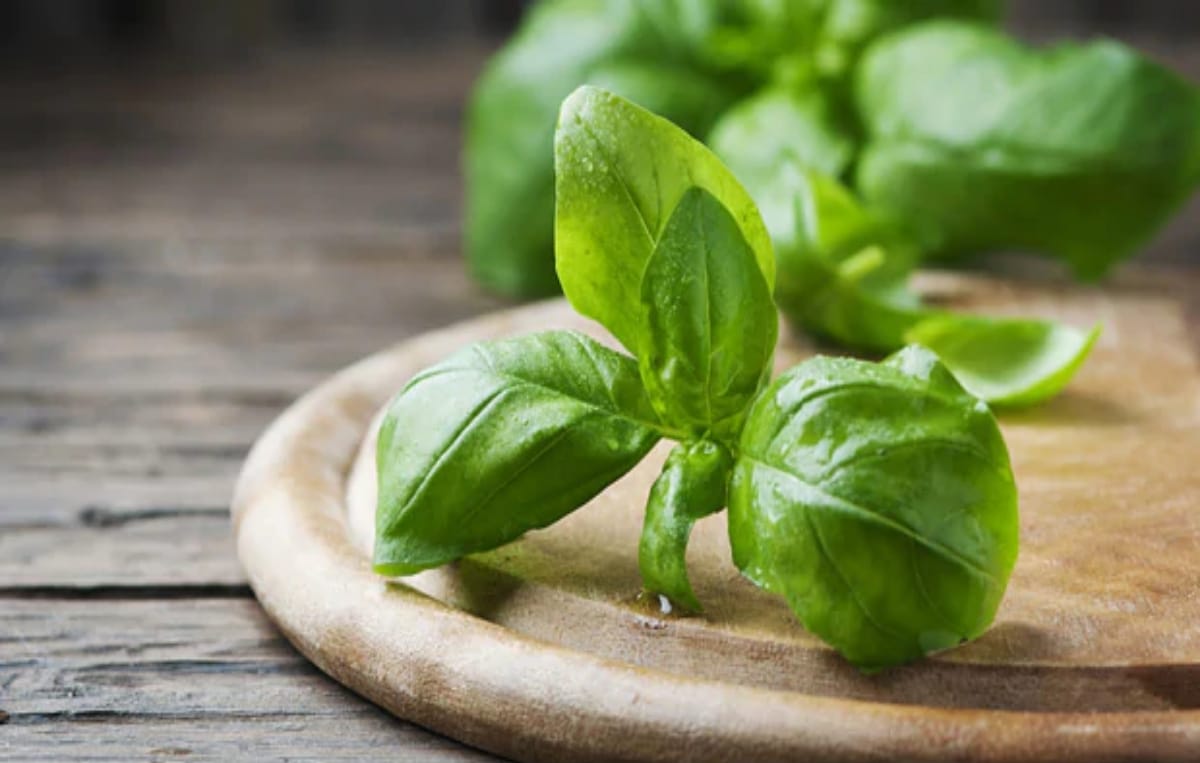 5 foods that should never refrigerate