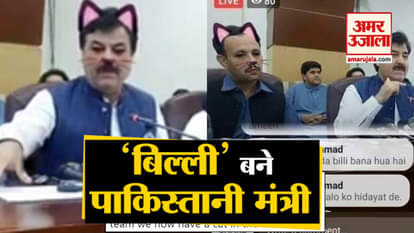 Cat filter used on Pakistani Minister mistakenly during facebook live