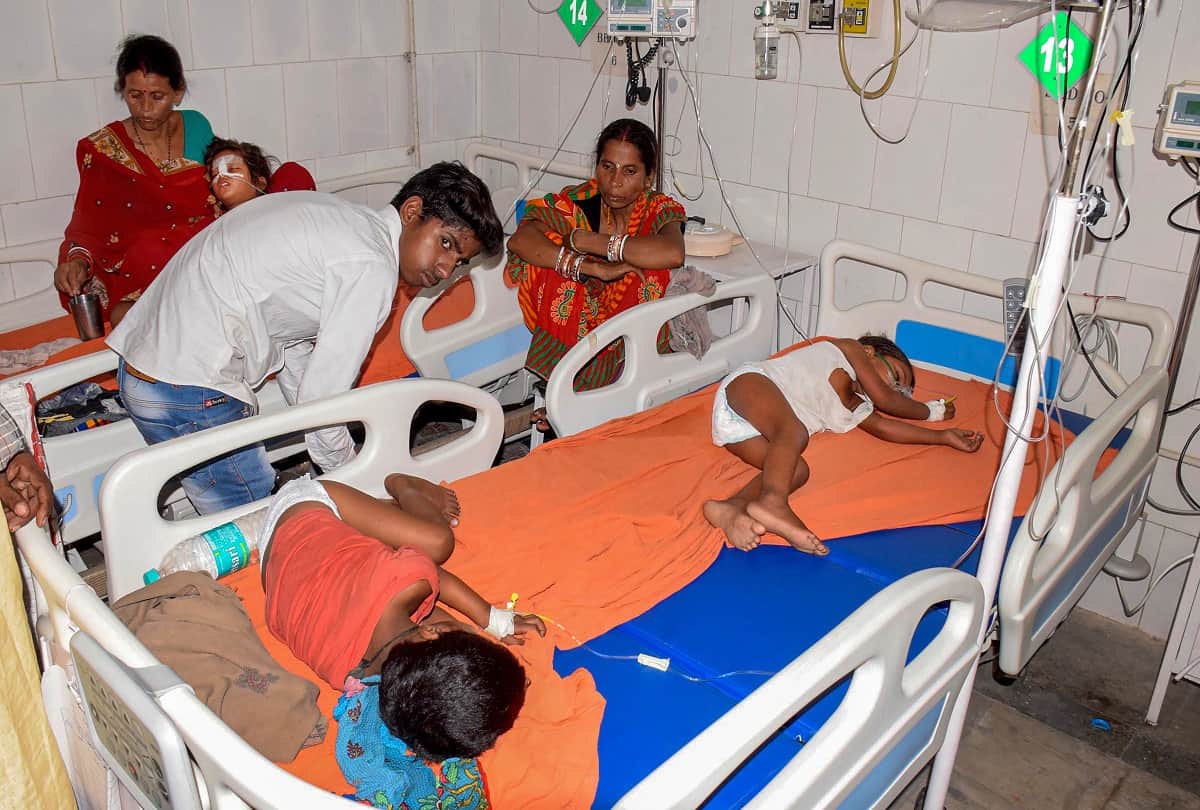 Encephalitis accompanied by viral fever and pneumonia