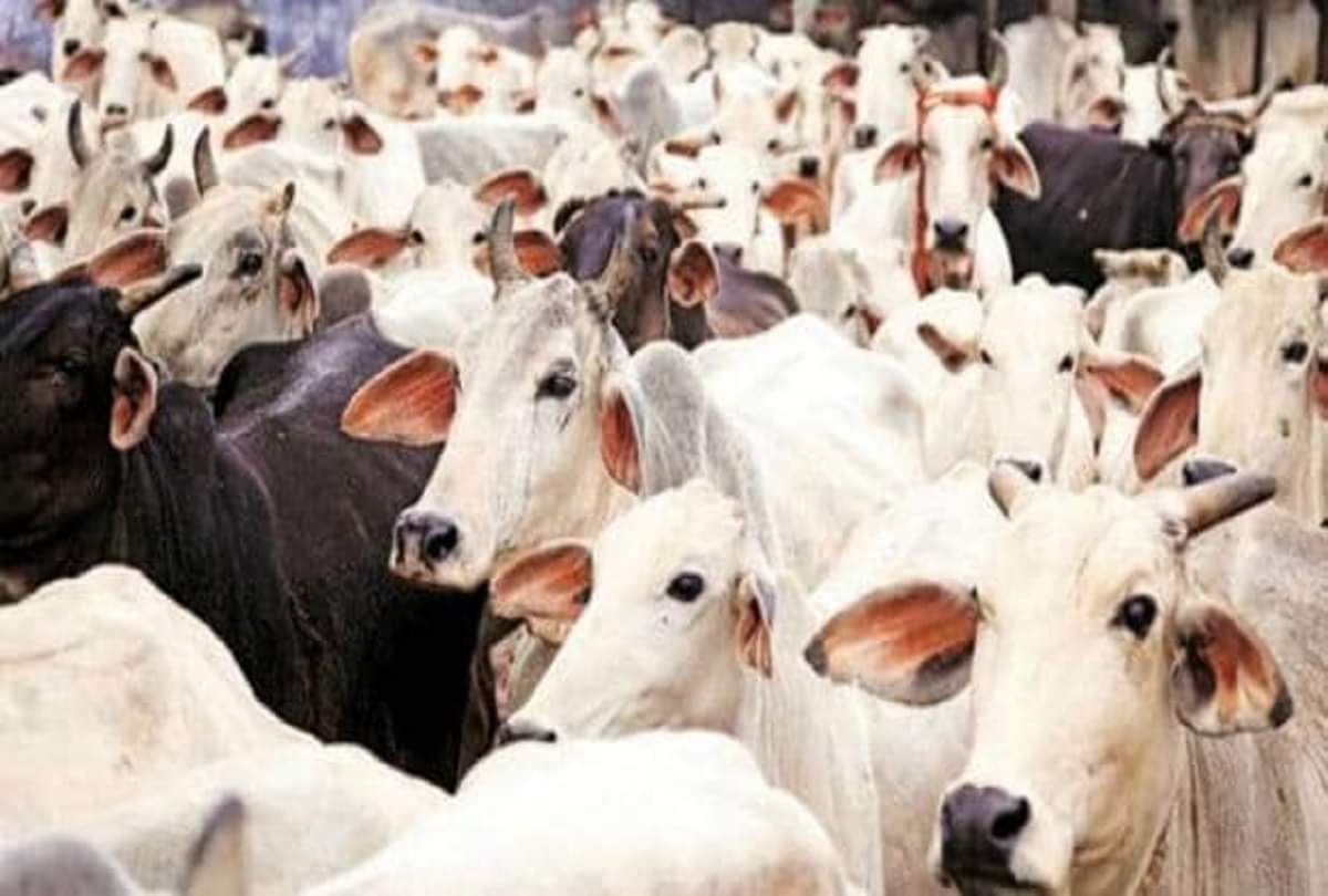 astrology tips for wealth Do these remedies for happiness and peace at home