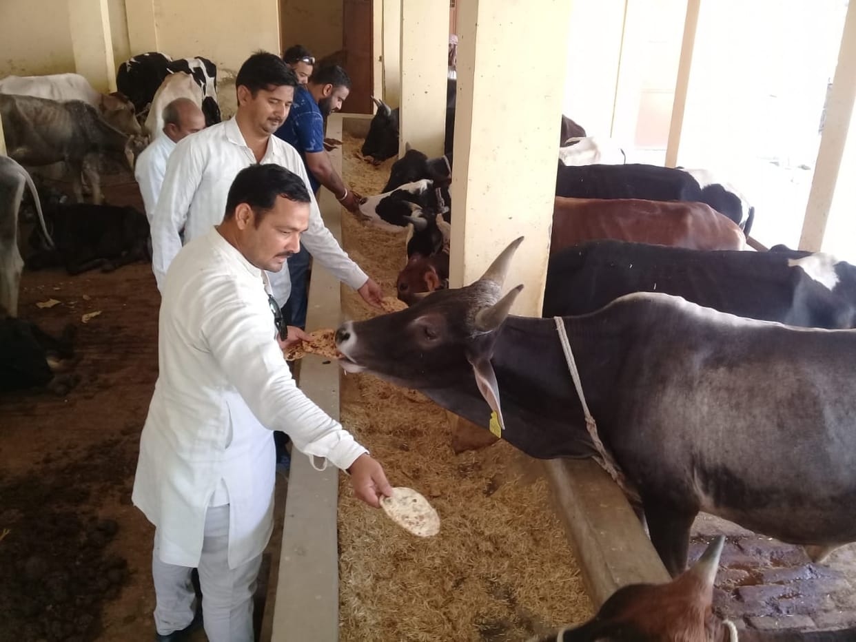 गोवंश की भूख मिटाने के लिए अच्छी पहल
