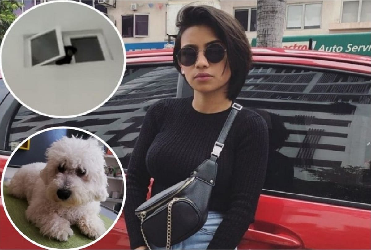 Malaysian singer arrested after rescued sun bear she thought was a dog Video Viral