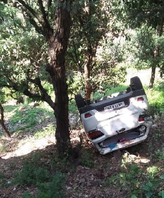 Car stairs fail, tree survive