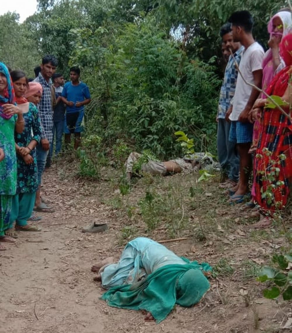 wild elephant killed old age couple brutally