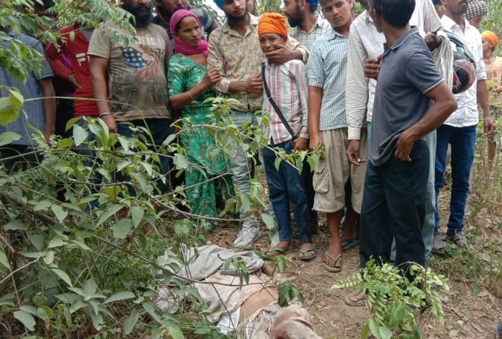 wild elephant killed old age couple brutally