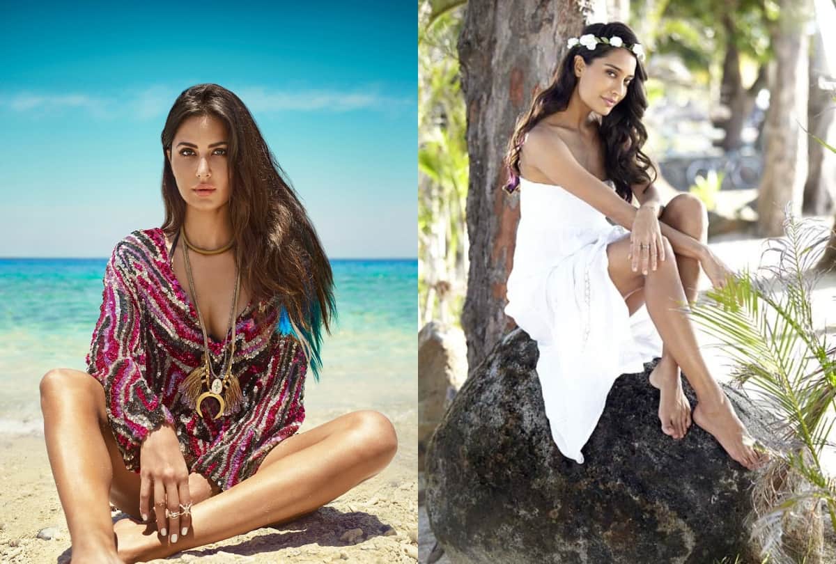 birthday special Lisa Haydon to katrina kaif these bollywood actresses seen in Kingfisher Calendar