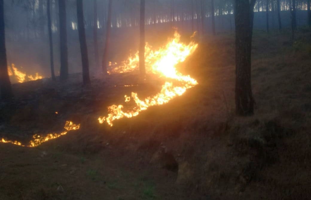 wildfire in uttarakhand rudraprayag, uttarkashi and karnprayag