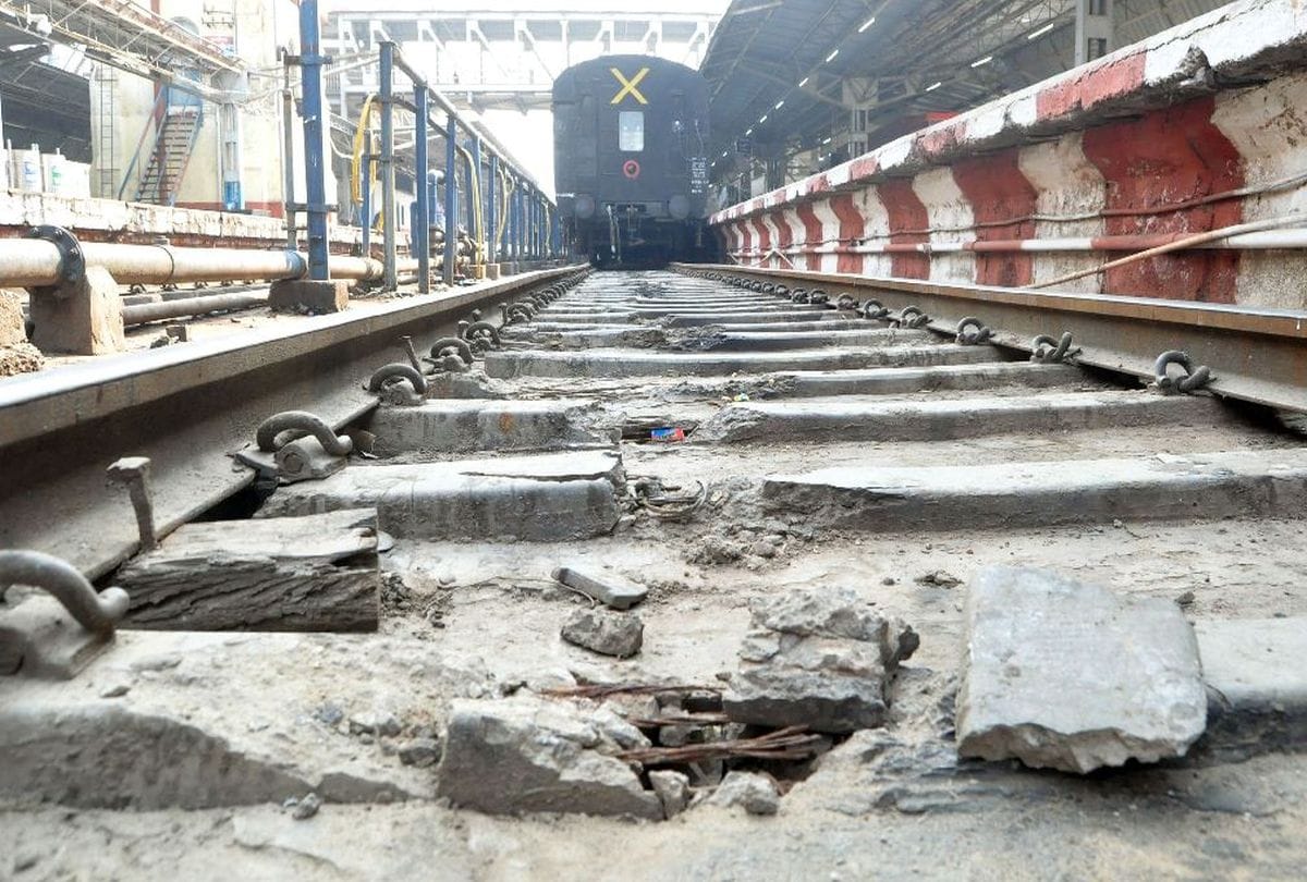 cattle put brake on the speed of four trains