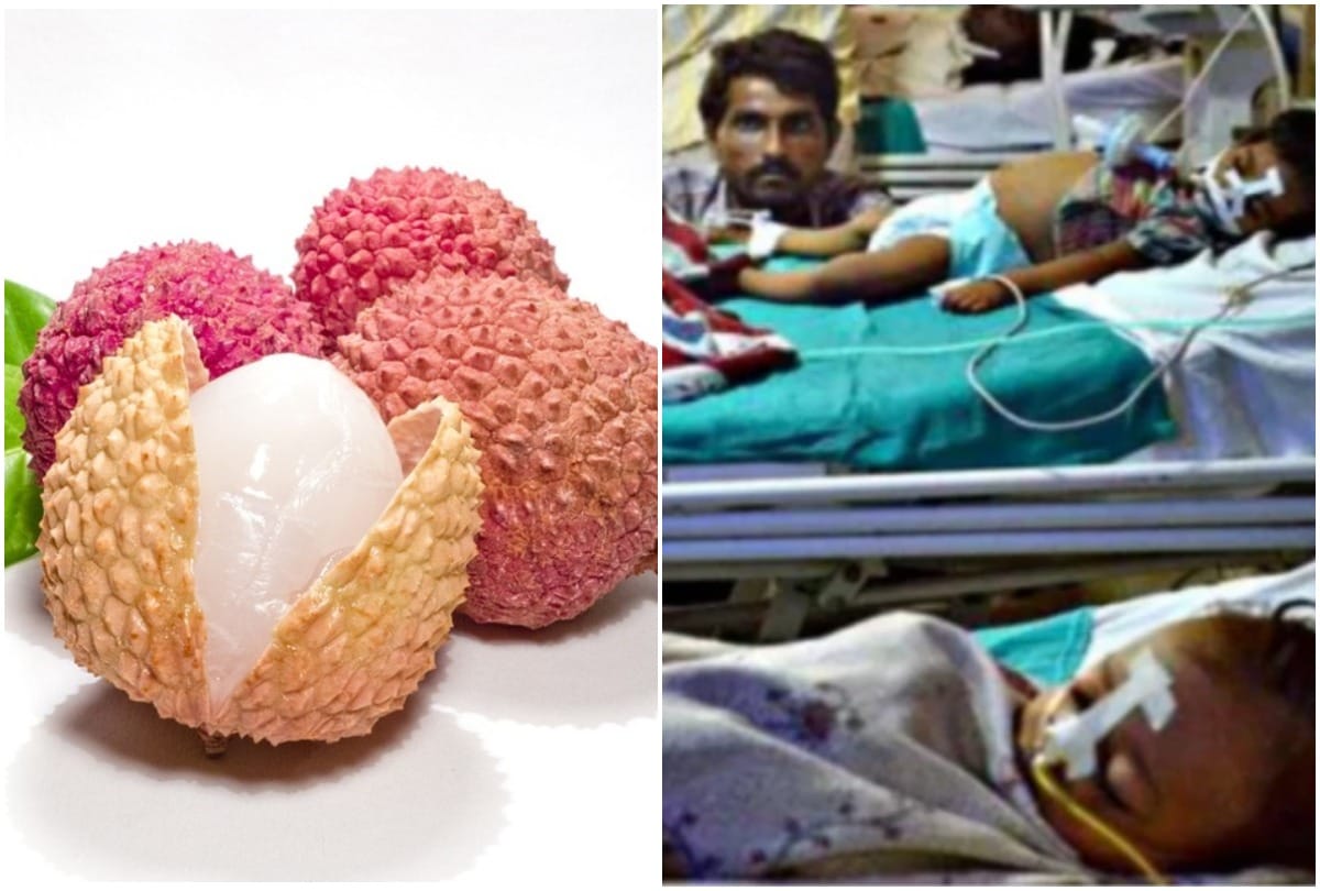 encephalitis bihar muzaffarpur litchi fruit exports china lobby politics