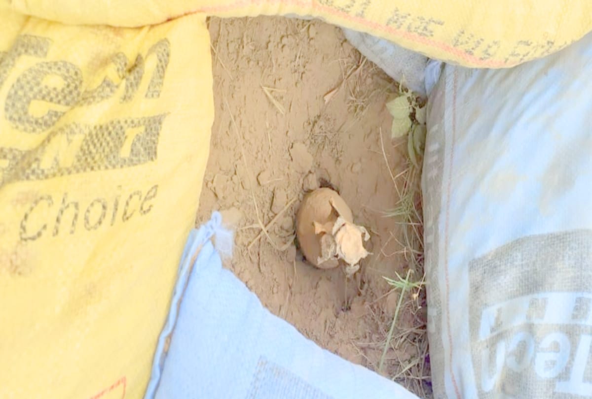 Sensation spread due to explosive found during running tractor in field