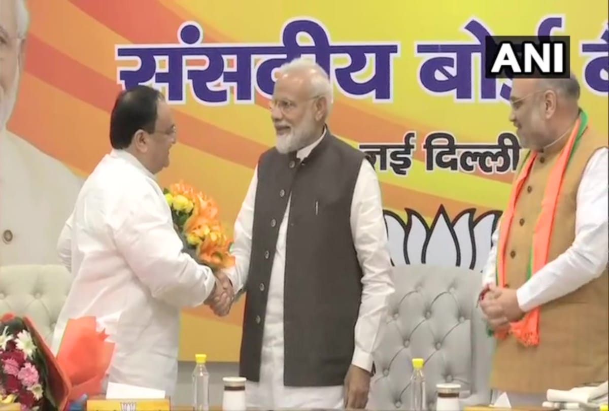 J P Nadda elected as the BJP National Working President