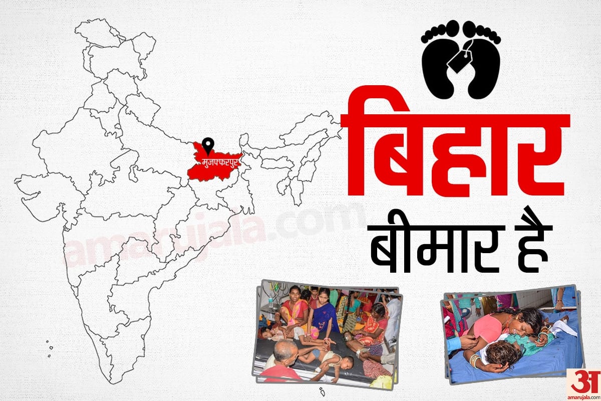 litchi cause Acute encephalitis syndrome children dying in muzaffarpur