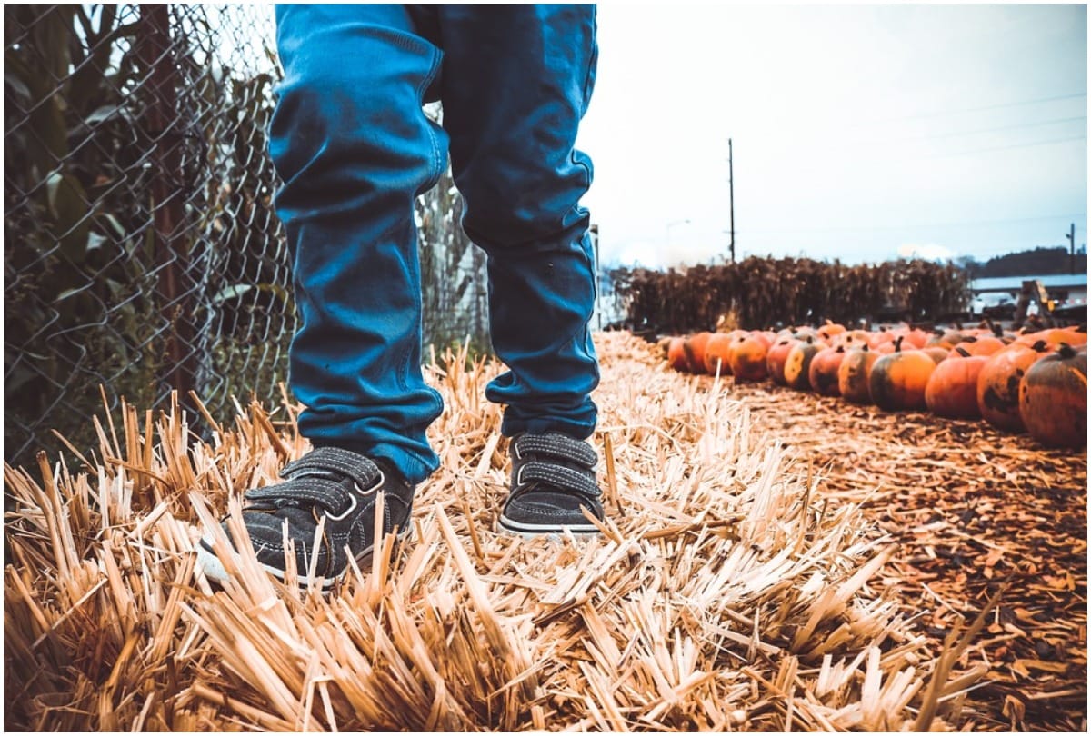 Footwear Tips important thing you should remember before buying shoes
