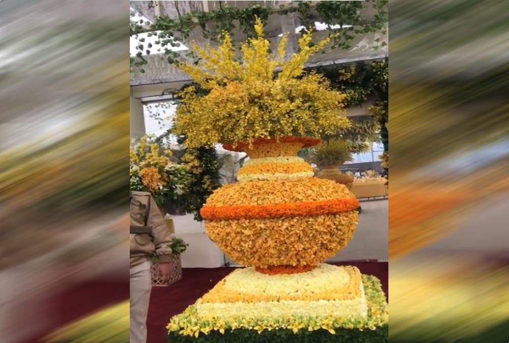 Auli Shahi shadi: Five crore rupees foreign flowers decoration in gupta brothers sons wedding