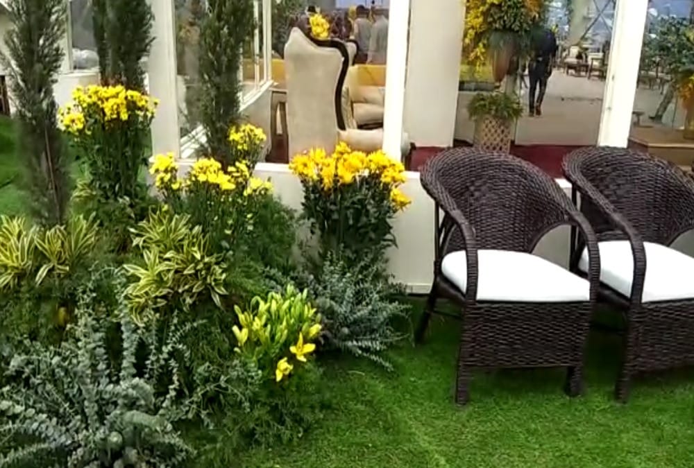 Auli Shahi shadi: Five crore rupees foreign flowers decoration in gupta brothers sons wedding