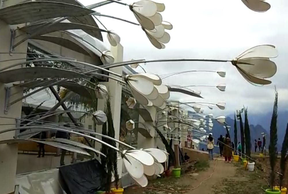 Auli Shahi shadi: Five crore rupees foreign flowers decoration in gupta brothers sons wedding