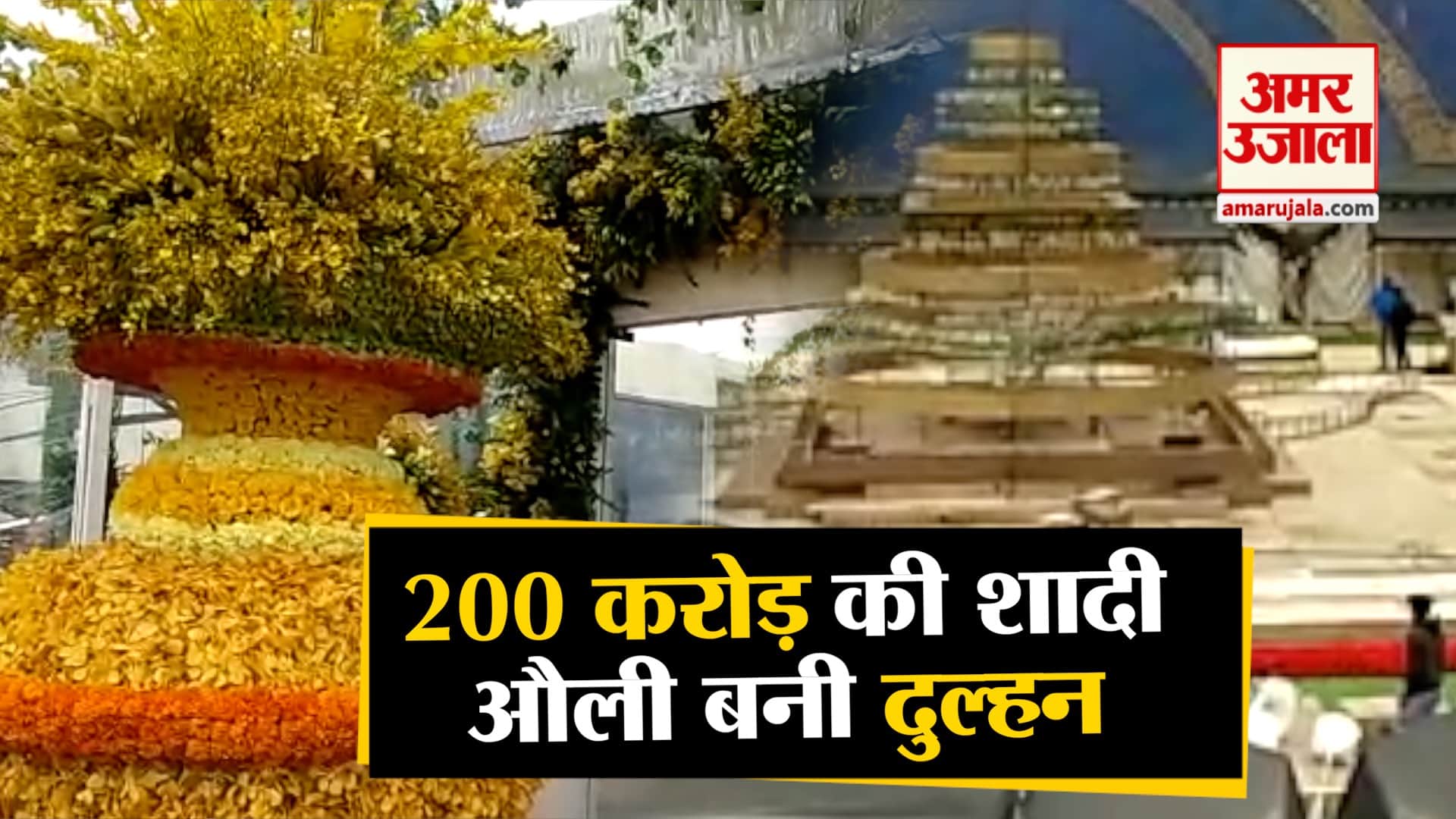 शाही शादी