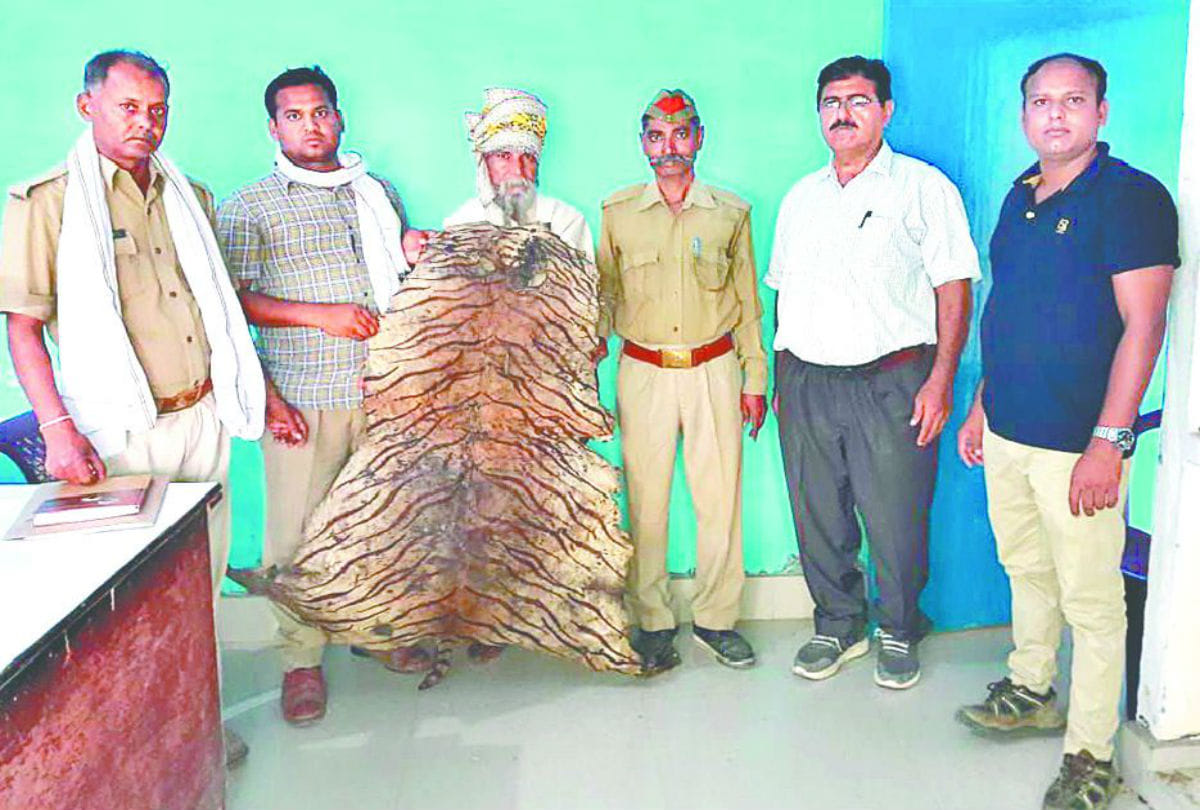 saint arrested with cheetah skins in Barasana