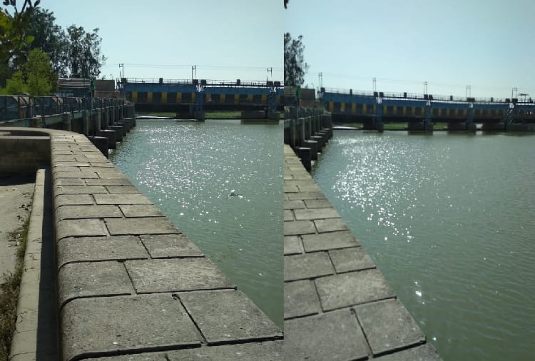 Pakistani Farmers Using Sutlej River Water for Farming, Hussainiwala Head, Harrike Head