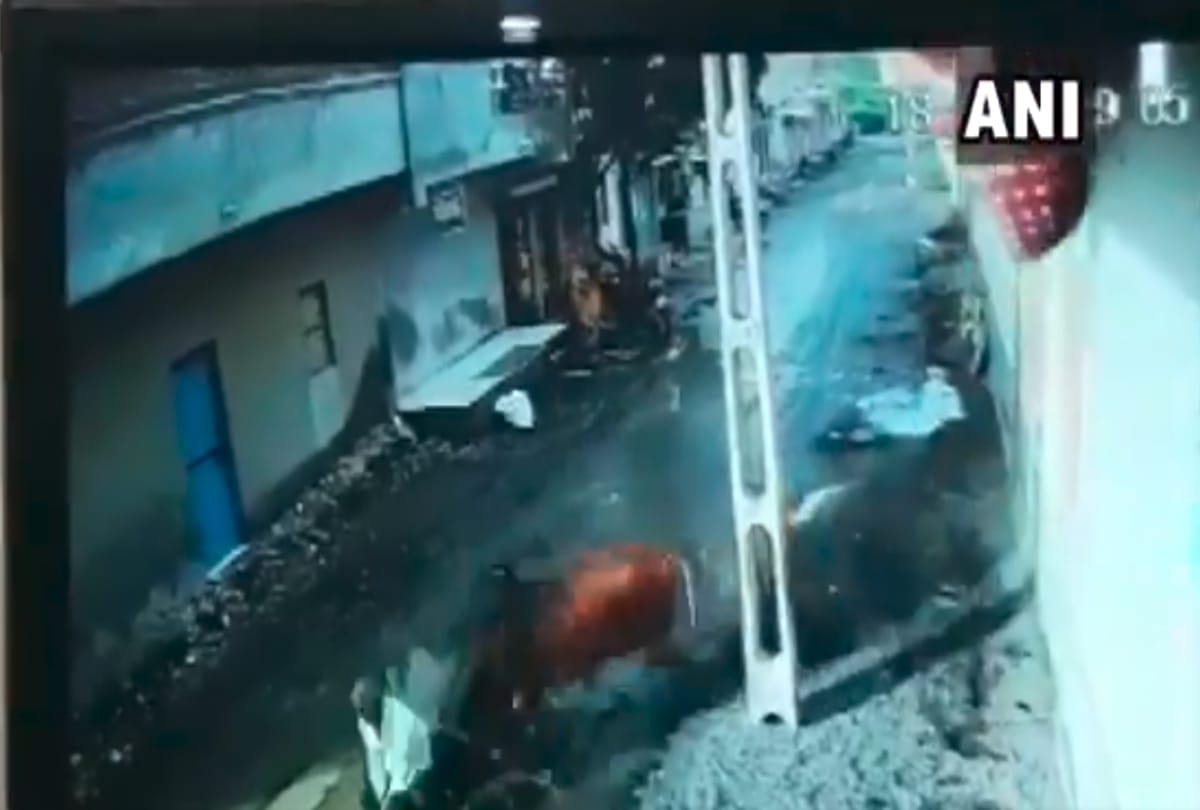 bull attack video in gujarat viral on social media