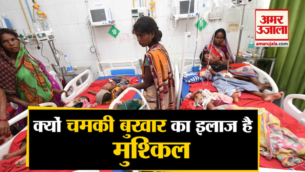 डिजाइन पिक्चर