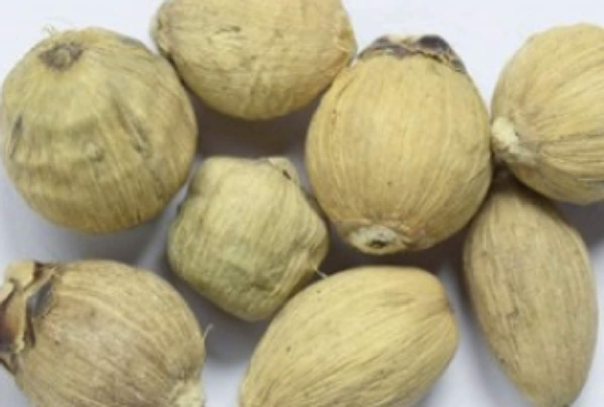 keep these things to your wallet for save money