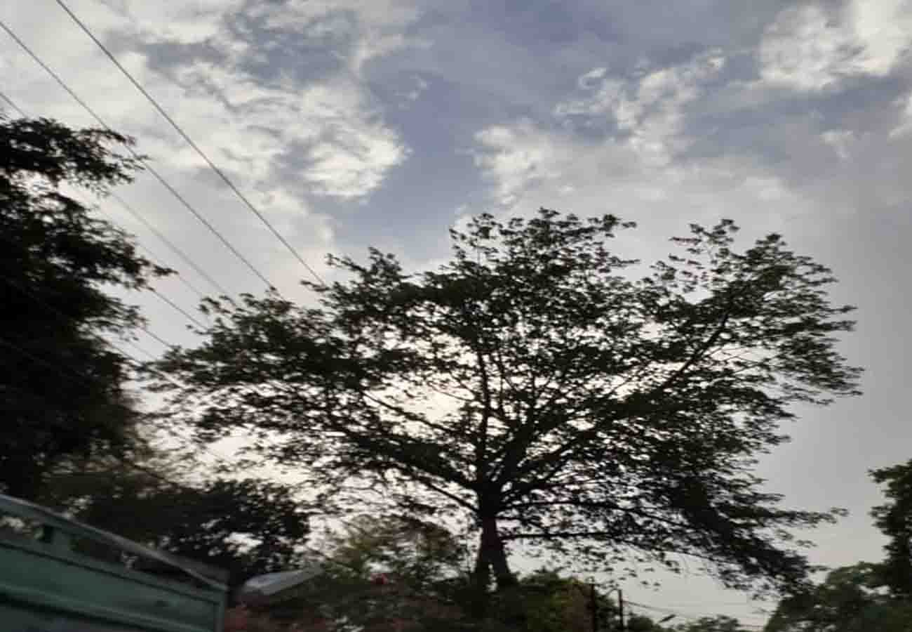 latest weather department news, rain and storm in these cities of up