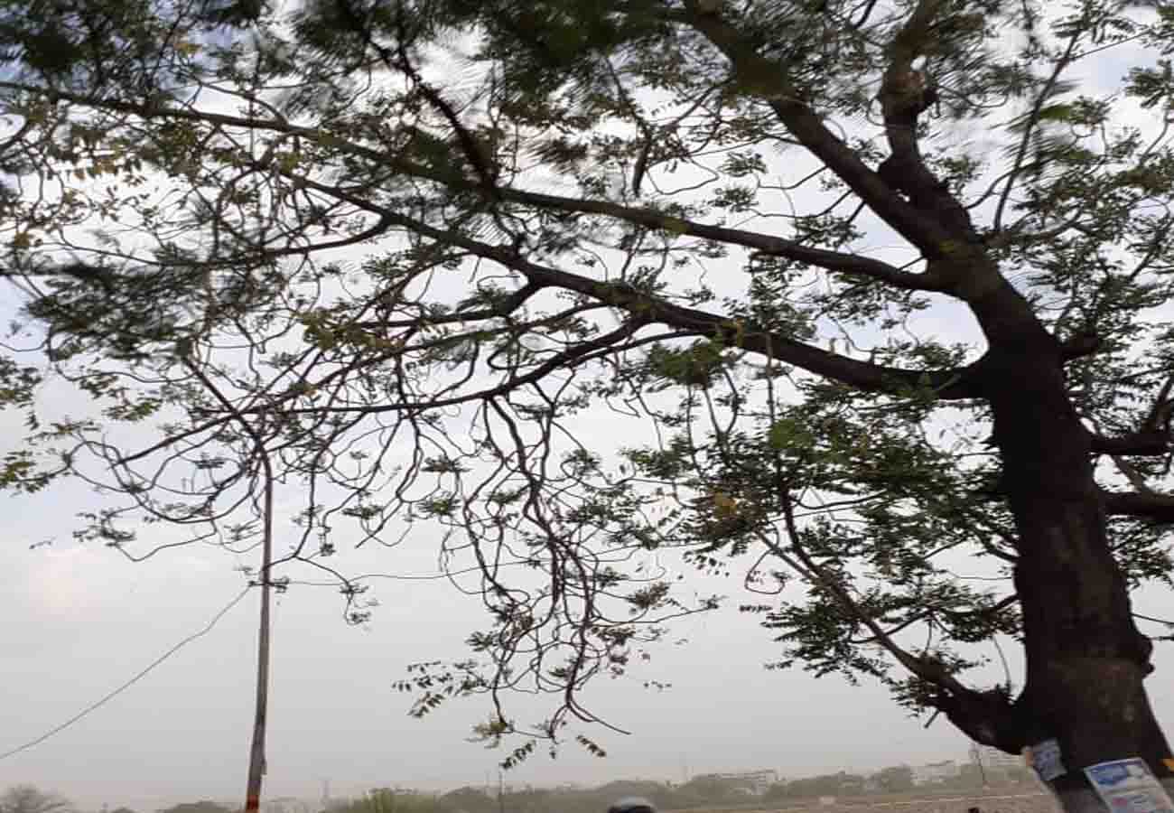latest weather department news, rain and storm in these cities of up