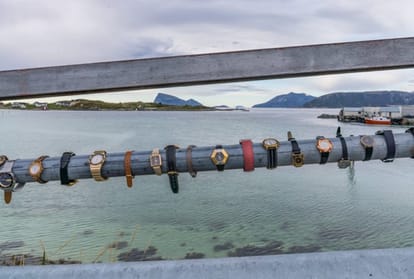 Norway island Sommaroy wants to be first time free zone in World
