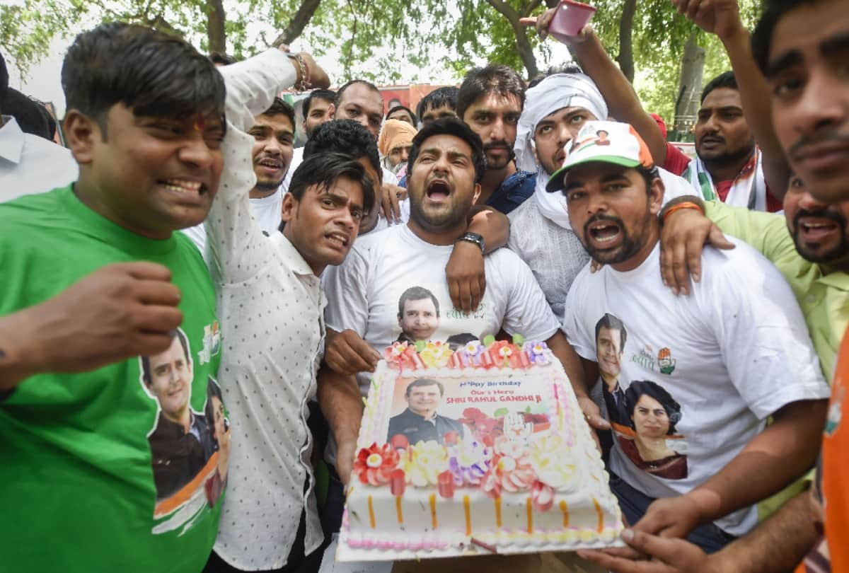 rahul gandhi 49 birthday celebration distribute laddoo plant tree fire cracker