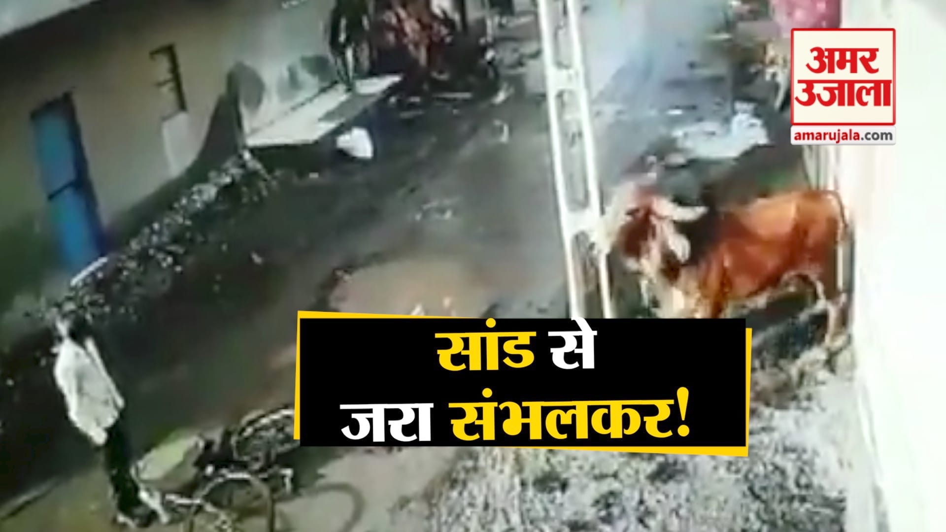 राजकोट