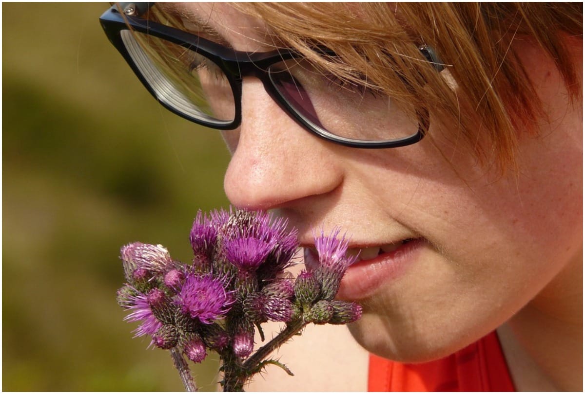 Humans can smell with their tongue, scientists find