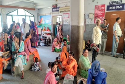 opds remained close for two hours in himachal due to doctor's pen down strike