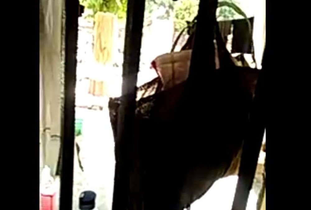Jail video went viral on social media.