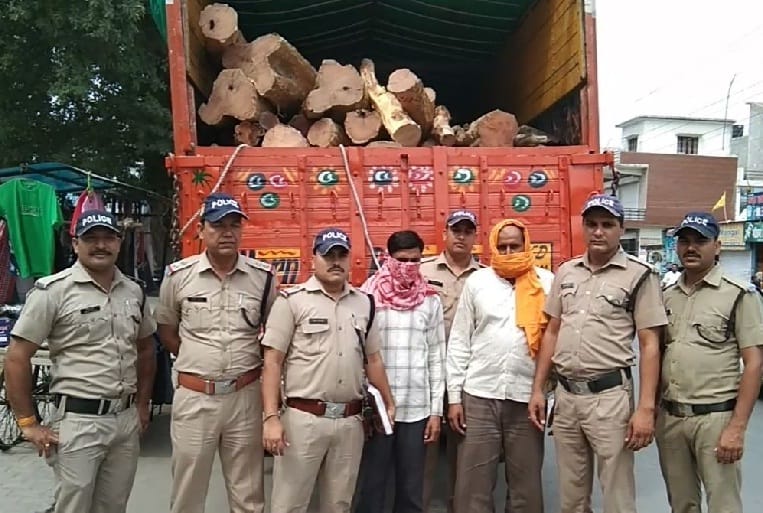 Interstate forest smuggler busted