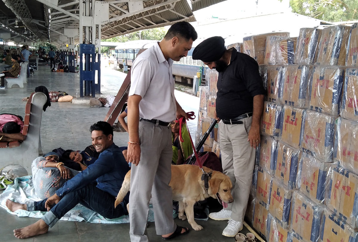 jammu grp and rpf investigated jammu railway station with dog squad