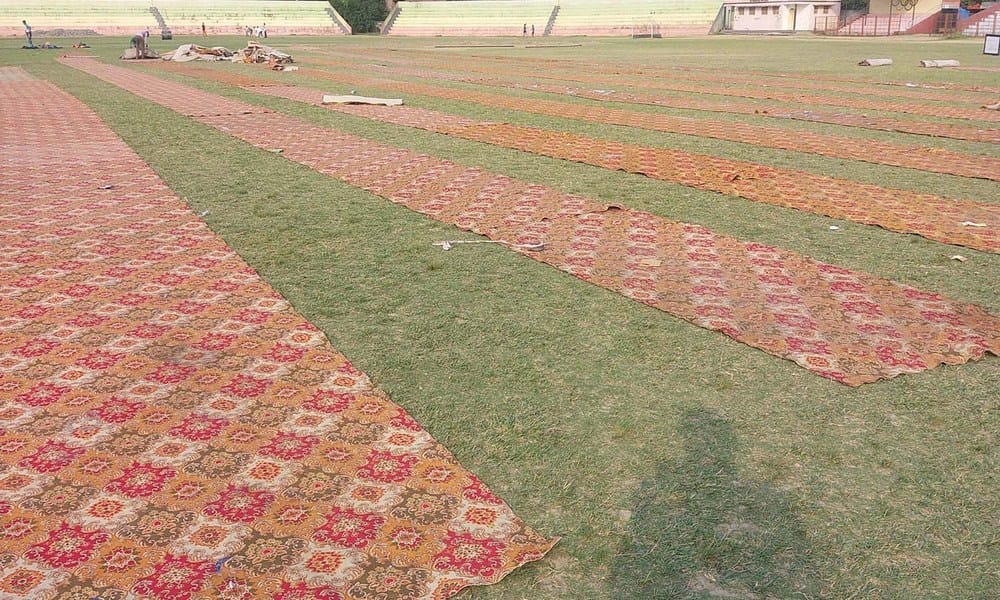 preparations for yoga day