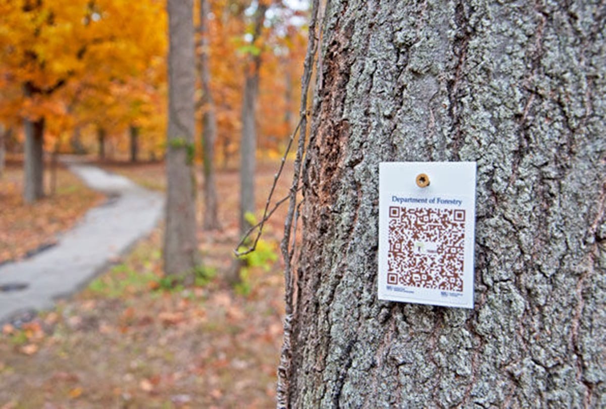 QR code on the trees first Digital Garden in India Kerala Raj Bhavan