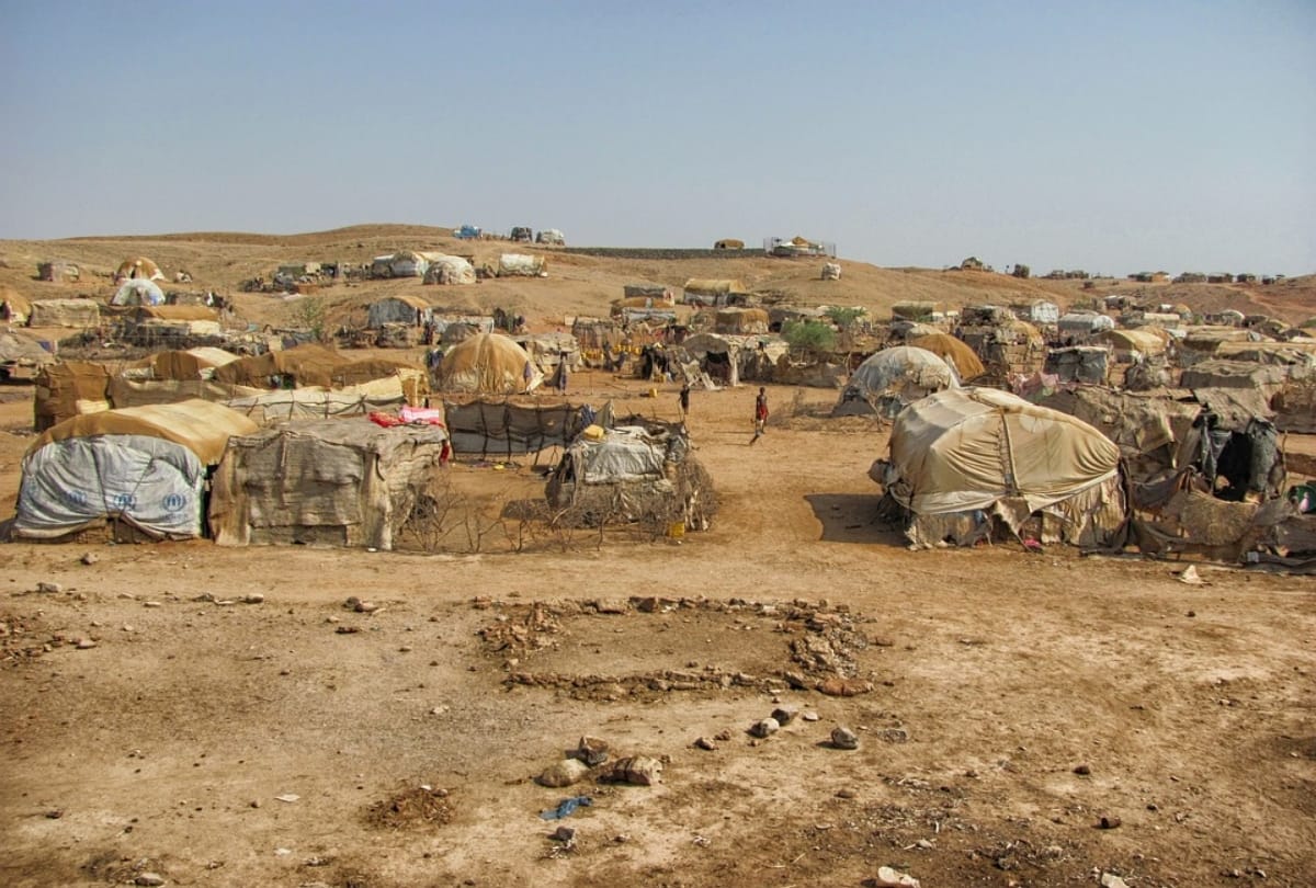 world refugee day 2019 theme history statistics of refugees in the world