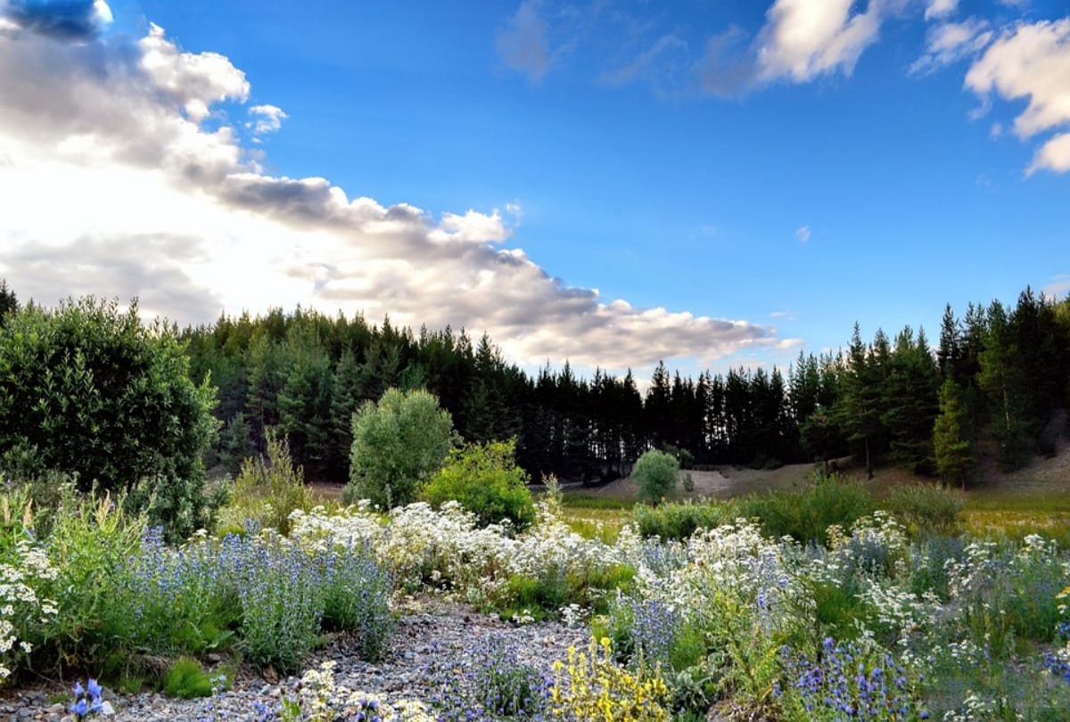 beautiful offbeat valleys to visit in monsoon season 2019