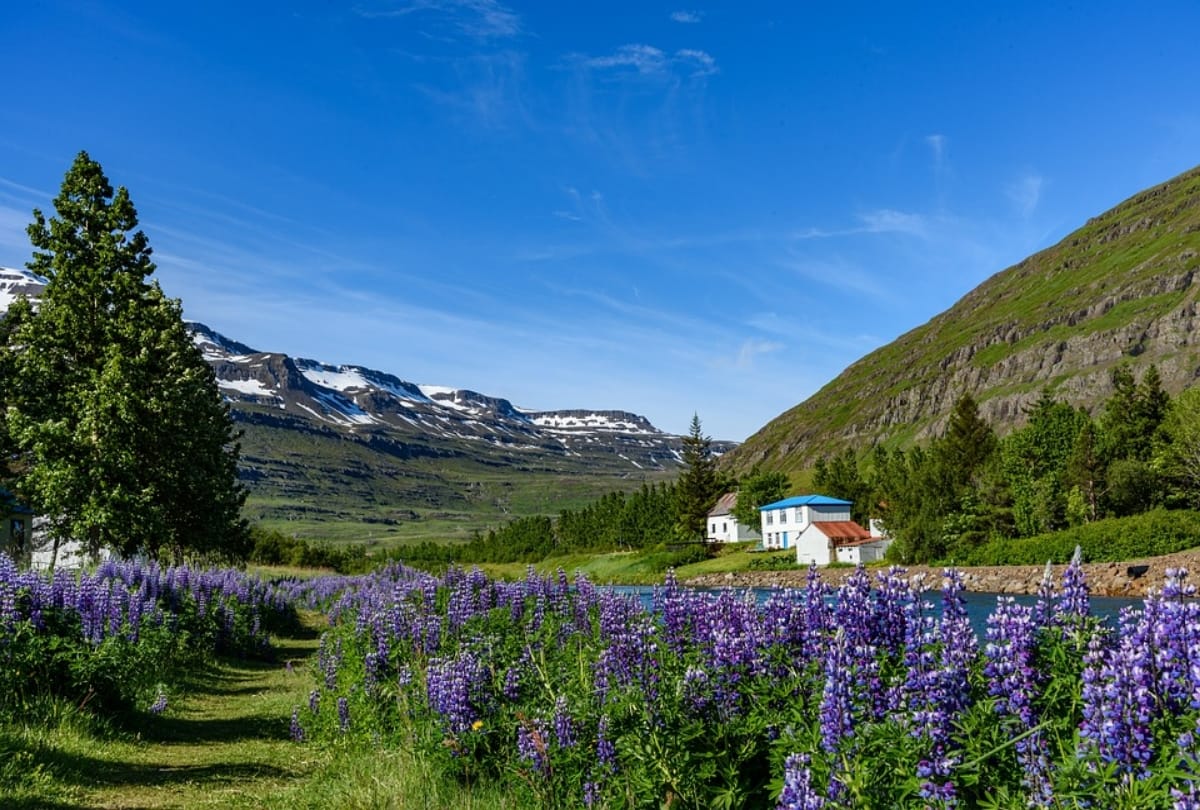 beautiful offbeat valleys to visit in monsoon season 2019