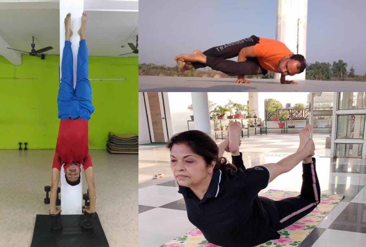 international yoga day 2019 : yoga is beneficial to everyone loose weight or gain spiritual energy