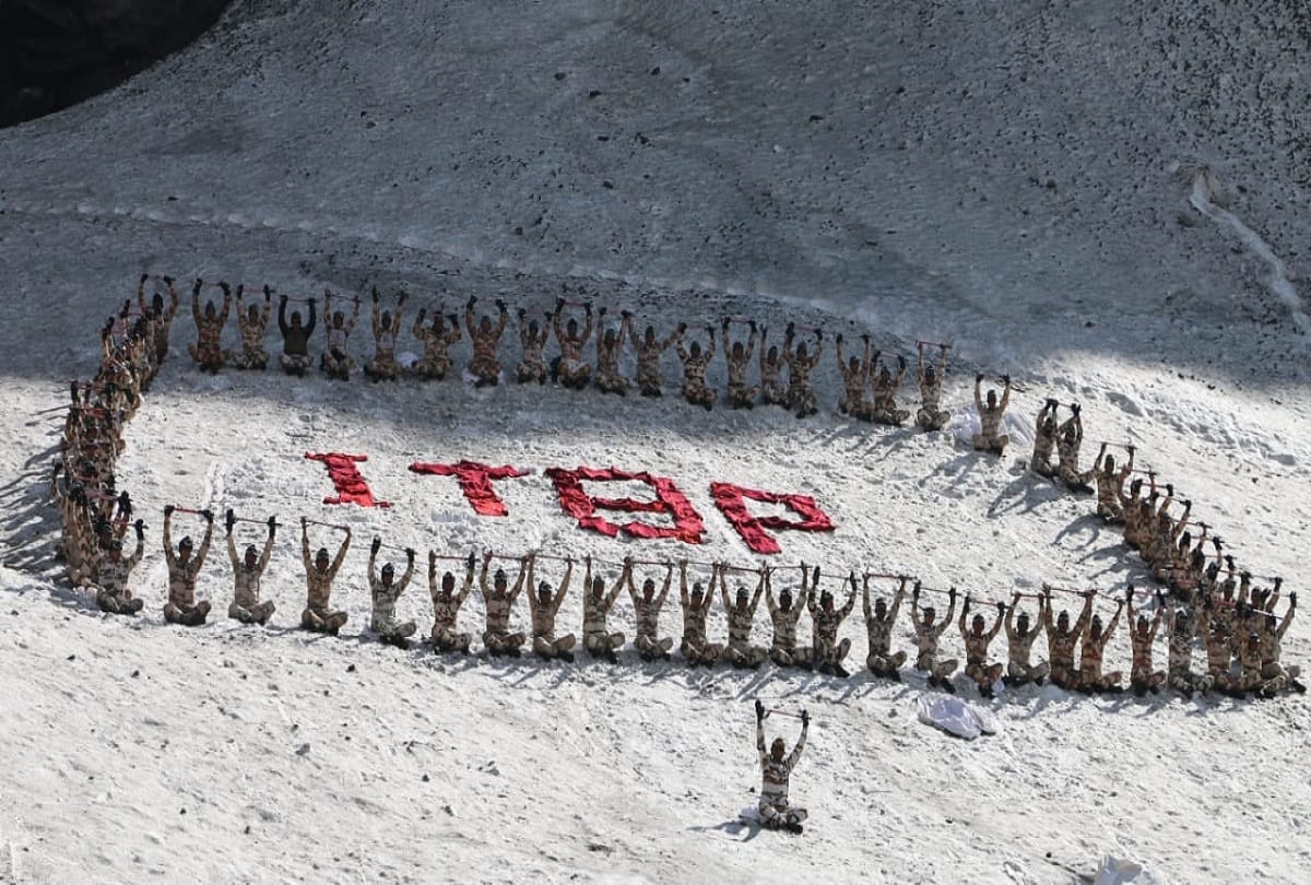 International Yoga Day 2019: horse and searching dogs are also doing yoga with ITBP personnels