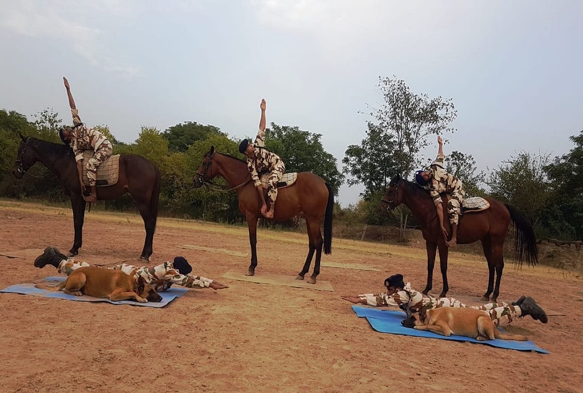 International Yoga Day 2019: horse and searching dogs are also doing yoga with ITBP personnels