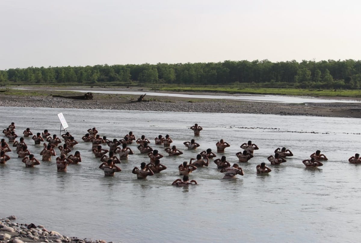 International Yoga Day 2019: horse and searching dogs are also doing yoga with ITBP personnels