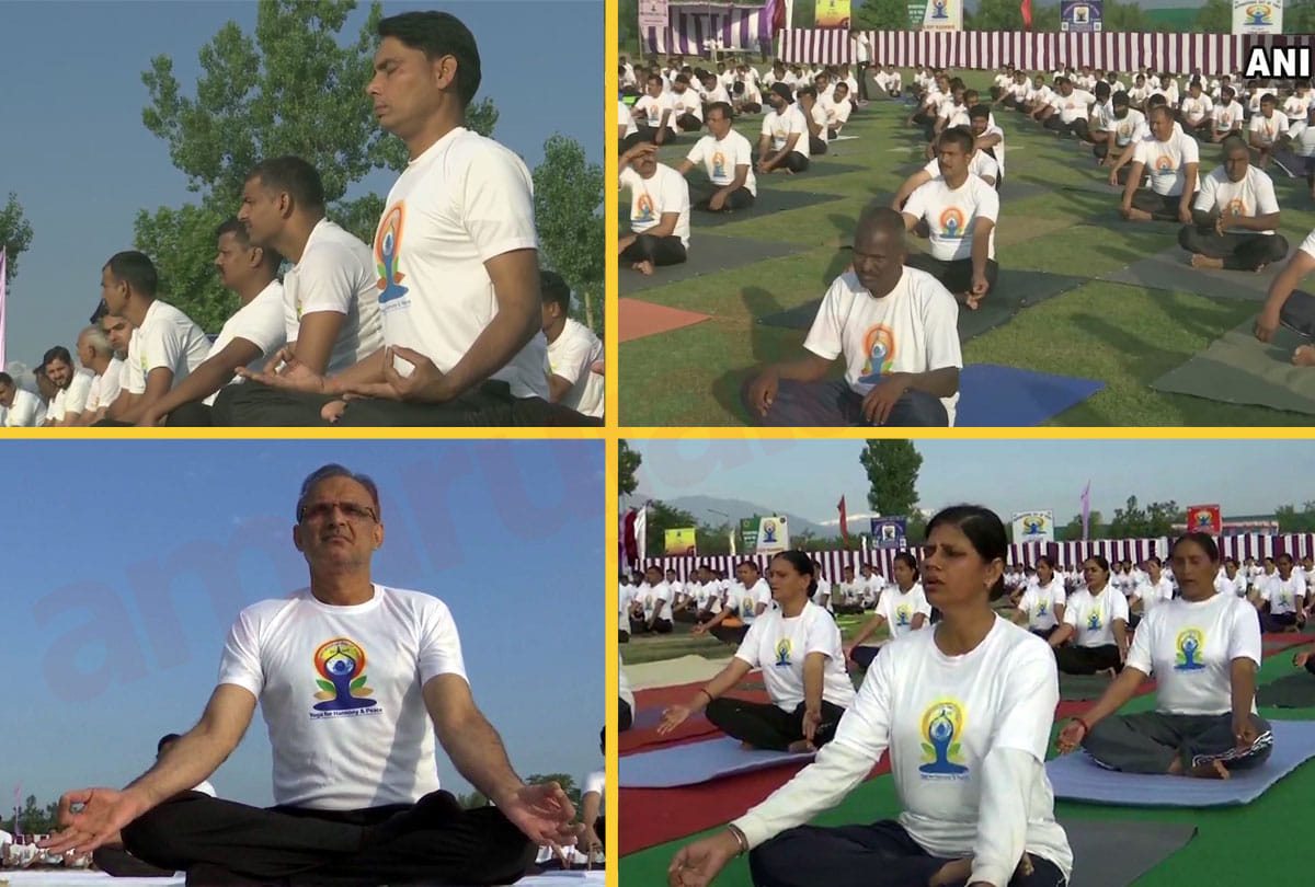 international yoga day in jammu kashmir, srinagar,ladakh and jammu