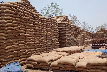 Millions of metric tons wheat lying in the open in Haryana